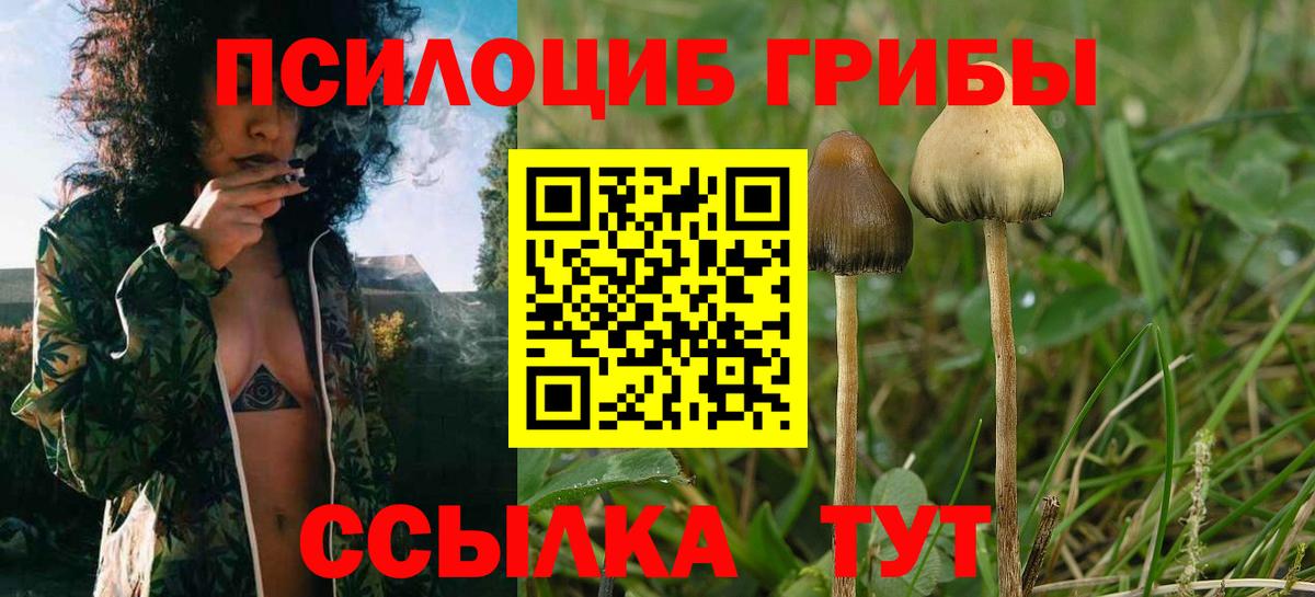 где можно купить   Псилоцибиновые грибы мухоморы  Вход с VPN  Нижний Тагил  Галлюциногенные грибы Psilocybe 
